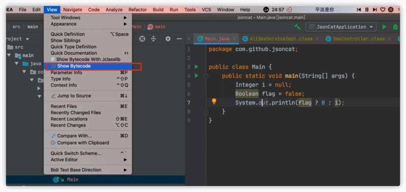 使用 IDEA 自带功能查看 Java 字节码